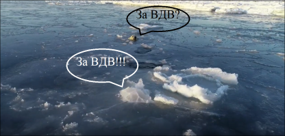 Любопытный белый медведь пустился в погоню за снимавшим его дроном