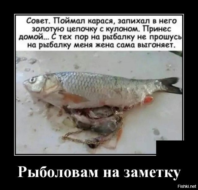 Четверг - рыбный день

.