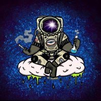 В следующем году американцы привезут на МКС коноплю