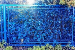 Здесь что не так?
