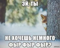 Умиления пост: спасенные лисицы играют в снегу с хозяйкой питомника