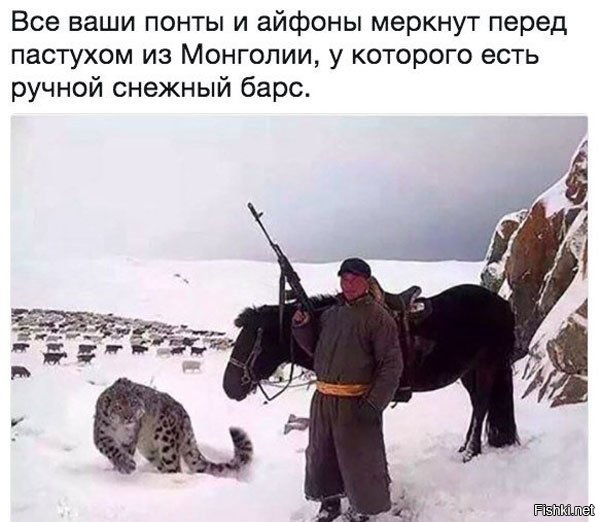 Картинки с надписями