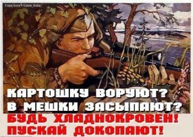 Воруют все . Смешные карикатуры