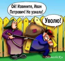 Воруют все . Смешные карикатуры