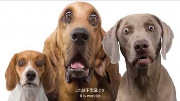 Картинки с надписями