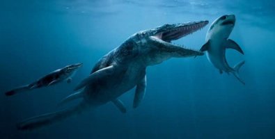 Хорошо, сухопутные вымерли потому что температура поменялась. А эти куда делись?