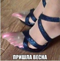 Прикольные и смешные картинки