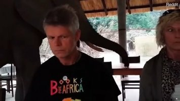 По-моему туристы какают...