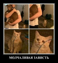 Да это скорее ревность ...