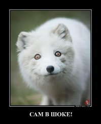 Это было близко: громоздкая металлоконструкция чуть не придавила рабочего