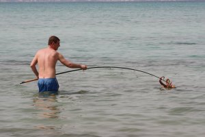 Было один раз на Майорке , пошел на рыбалку , снасти как обычно морские , донка и морские черви , кидал почти с берега , правда уходил по шею в воду . Сижу спокойно пью сан Мигель и тут на тебе удары такие думаю ну все вот удача , вытягивал минут 45 , даже люди с фотиками собрались , жене ору неси фотик , что то большое черное , подхожу ближе краснее зараза и водой с чернилам брызгает . Когда вытащил на берег офигел . И тут откуда не возьмись прибегает наглый местный и спрашивает ножик есть говорю нет , убегает  и приносит палку , спрашивает он тебе нужен говорю нет , он а пакет у тебя есть , я говорю так же нет . Он нашел в мусорнике покет и проткнул бедолагу , на вес кг 3 был . Могу фотку добавить что бы не быть пустозвоном . Кстати удилище я поломал , слишком прыткий был . Фоткам лет 13 :) Слегка похудел :))))))))))