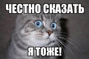 Прикольные и смешные картинки