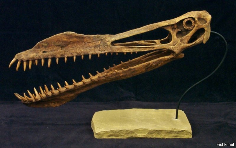 Динозавры - альтернатива приматам, которая впрочем не смогла