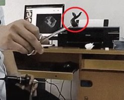 Бля, ет кто!?