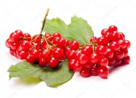 А на фотке не калина, а красная смородина! Тогда выходит - "Смородинка-малинка"?