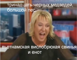 Кенгуру, сорока и кот нежатся на диване хозяйки