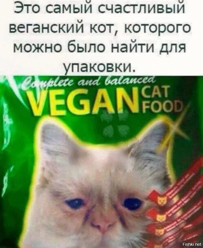 Коты веганов тоже парня поддерживают!!!