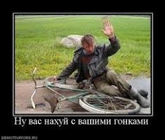 Прикольные и смешные картинки