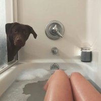 классные сиськи у хозяйки