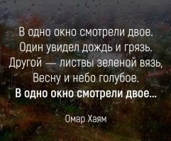 Прикольные и смешные картинки