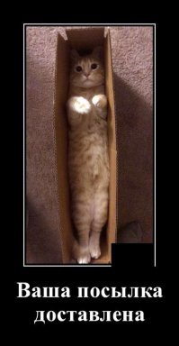 Образ кота в демотиваторах