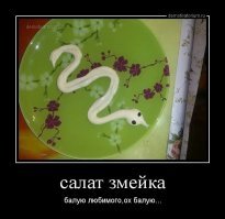 Смешные картинки из соц сетей
