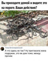Поцеловать жену.
Обнять дочерей, спросить, как прошел их день в школе.
Поздороваться с тёщей.