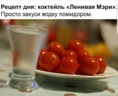 Прикольные и смешные картинки