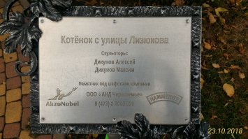 Почему Воронеж называют колыбелью российского флота?