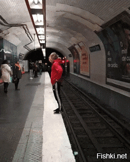 Однако некоторые из них ещё шляются без присмотра...
