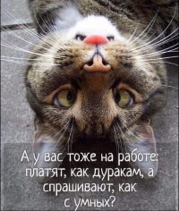 Прикольные и смешные картинки