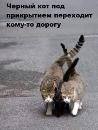 С добрым утром!