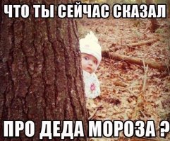 Дед Мороз, ты - козел!