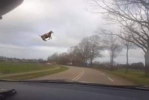 Бывает