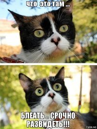 В Татарстане пара трансгендеров заключила официальный брак 