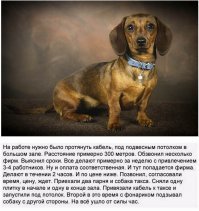Хохотальня