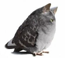 Все ложь