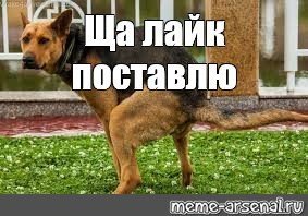 Женщина победила депрессию и стала самой сильной в Великобритании