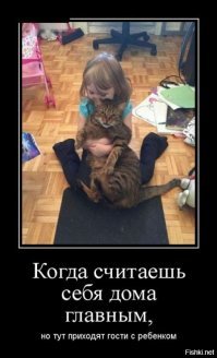 Порция зажигательных демов, сделанных с любовью