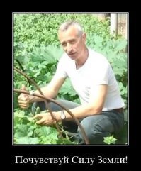 Конечно - иначе сила земли не работает.