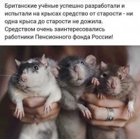 Прикольные и смешные картинки