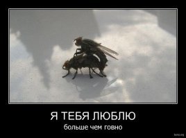 лучше эта :)