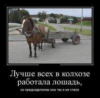 Современных школьников спросили: "что такое колхоз" и удивились их ответам
