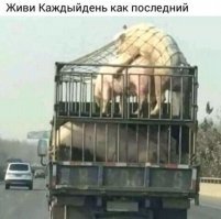 Порция зажигательных демов, сделанных с любовью