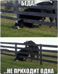 Порция зажигательных демов, сделанных с любовью