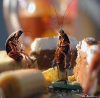 Картинки с надписями