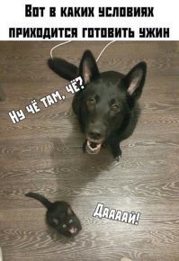 Картинки с надписями