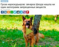 где ошибка?