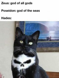 Это кот Картеля (The Punisher)