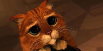 Ржавый кот - самый маленький дикий хищник в мире